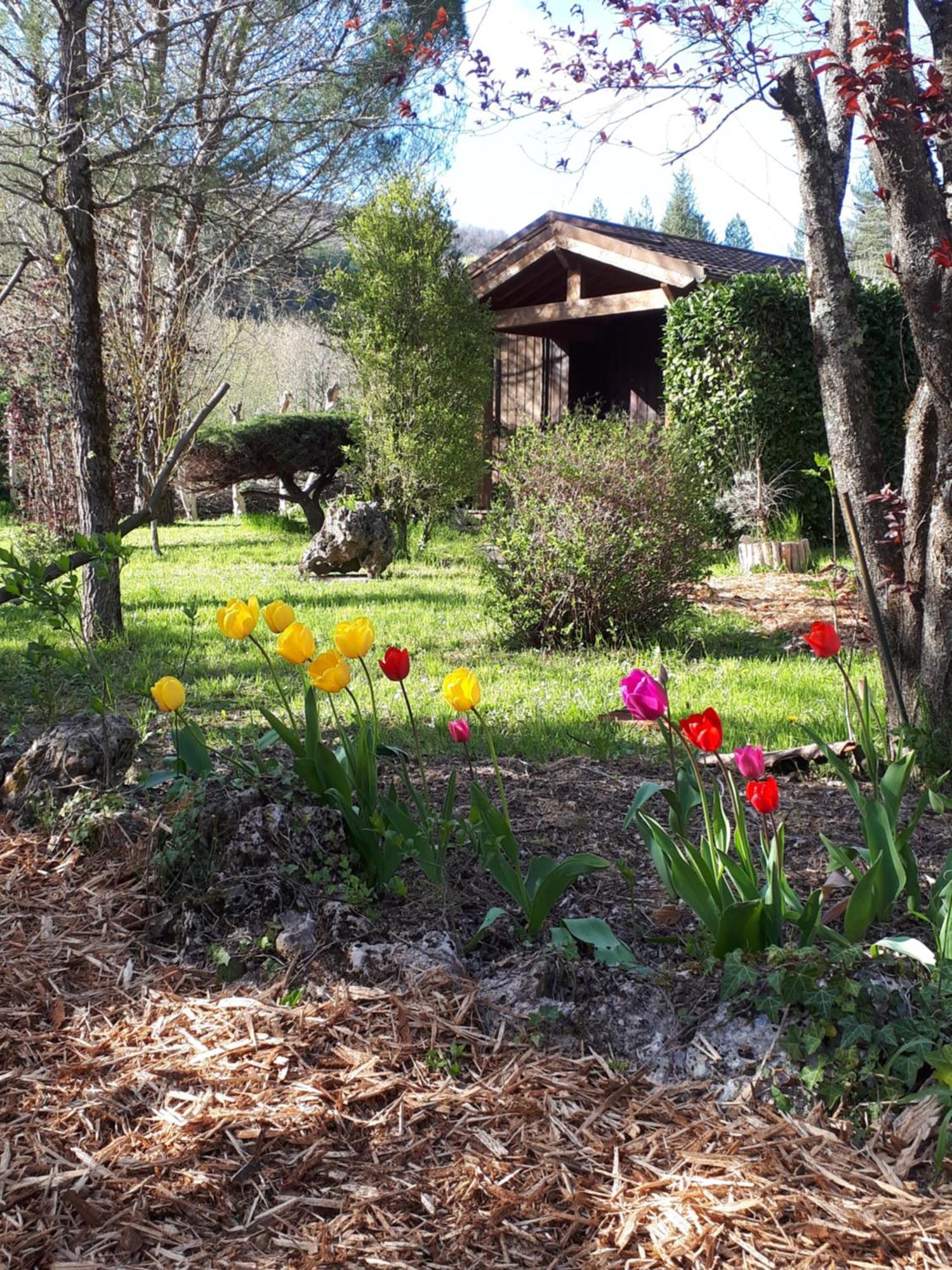 Les Chalets Du Roc Alzon Ngoại thất bức ảnh